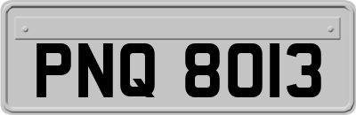 PNQ8013