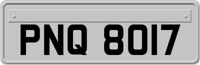 PNQ8017