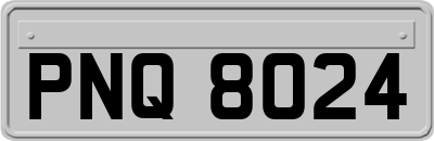 PNQ8024