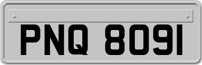 PNQ8091
