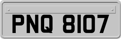 PNQ8107