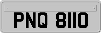 PNQ8110