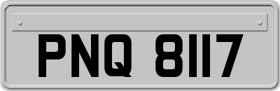 PNQ8117