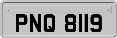 PNQ8119