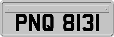 PNQ8131