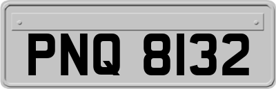 PNQ8132