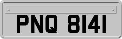PNQ8141