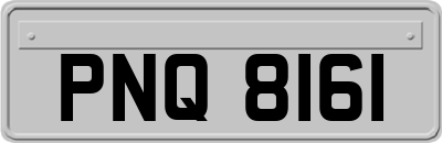 PNQ8161