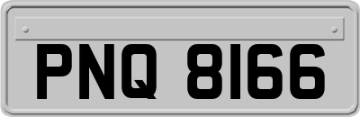 PNQ8166