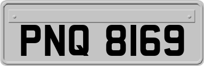 PNQ8169