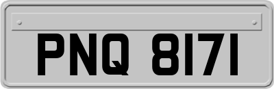 PNQ8171