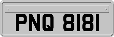 PNQ8181