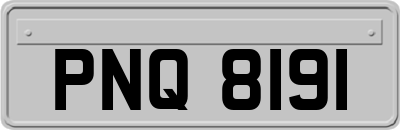 PNQ8191
