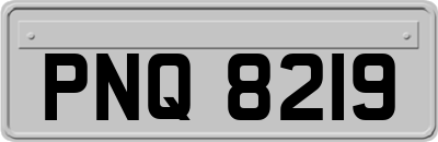 PNQ8219