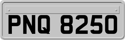 PNQ8250
