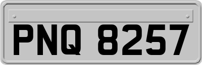 PNQ8257