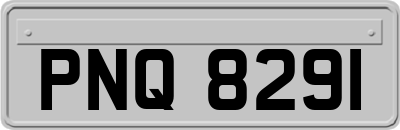 PNQ8291