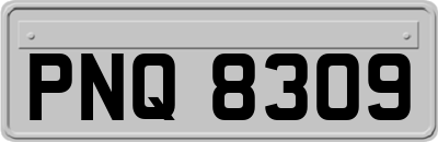 PNQ8309