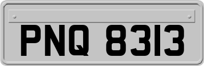 PNQ8313