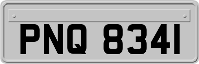 PNQ8341