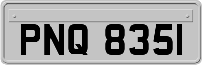 PNQ8351