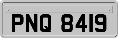 PNQ8419