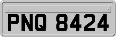PNQ8424