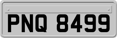 PNQ8499