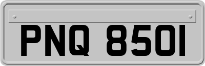PNQ8501