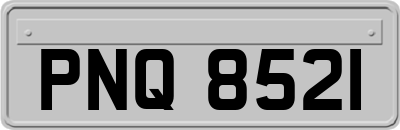 PNQ8521