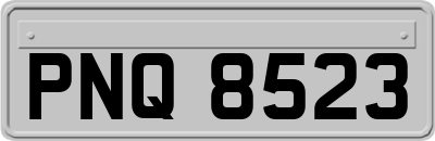 PNQ8523