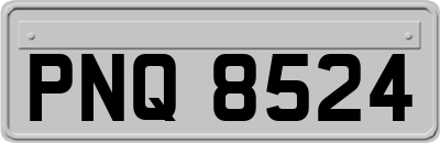 PNQ8524