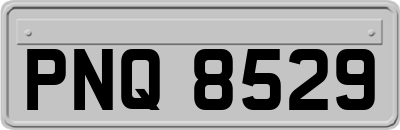 PNQ8529