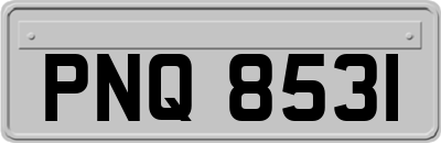 PNQ8531