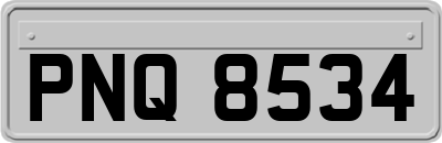 PNQ8534