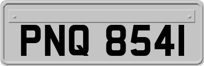 PNQ8541