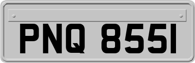 PNQ8551