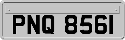 PNQ8561