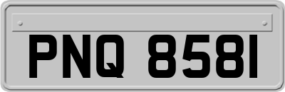PNQ8581