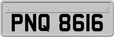 PNQ8616