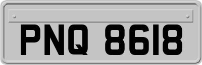 PNQ8618