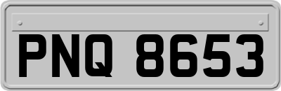 PNQ8653