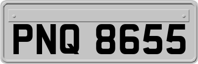PNQ8655