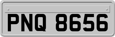 PNQ8656