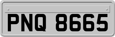 PNQ8665