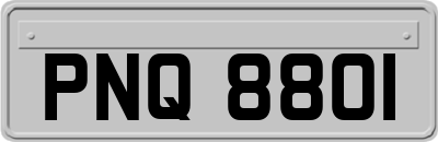 PNQ8801