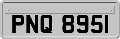PNQ8951