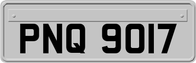 PNQ9017