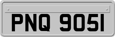 PNQ9051