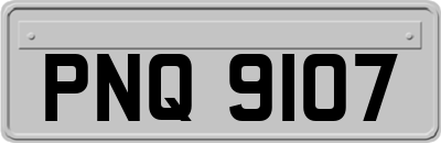 PNQ9107